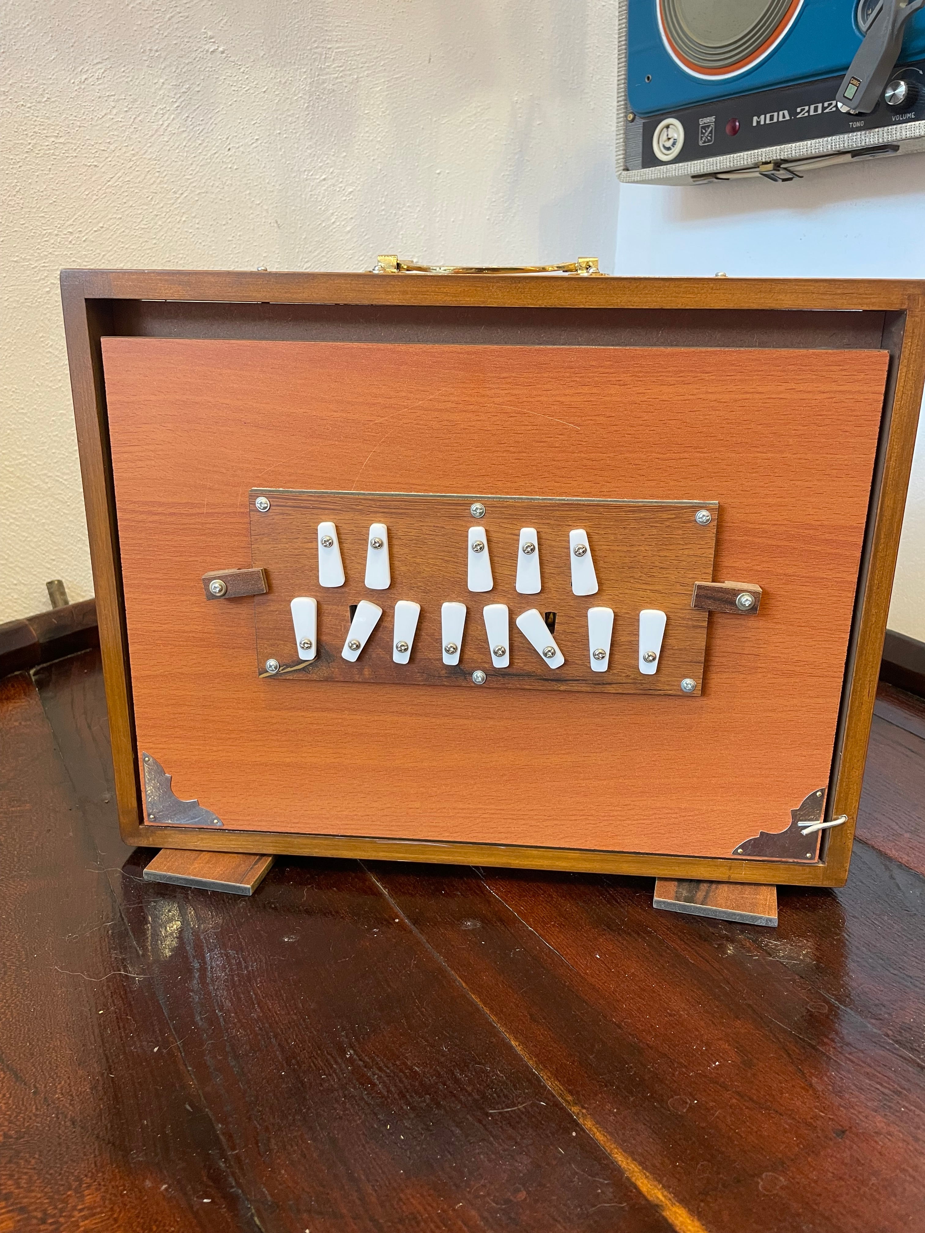 Shruti box Strumento musicale indiano Originale